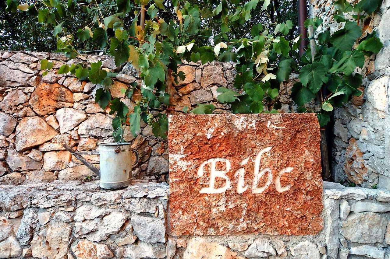 Bibc Wine & * Triëst